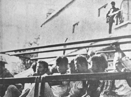 Greek Cypriot prisoners being transferred to Turkey by Turkish troops in 1974.